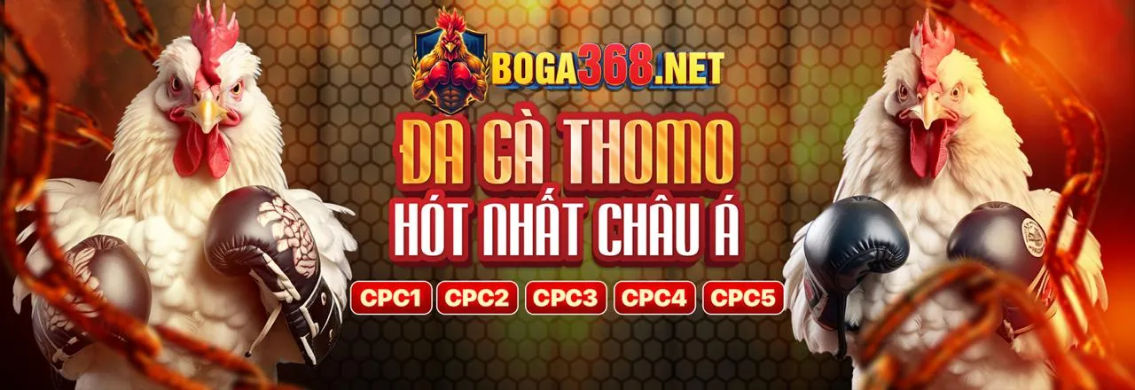 Đá gà trực tuyến hấp dẫn trên ứng dụng 39go99 Android